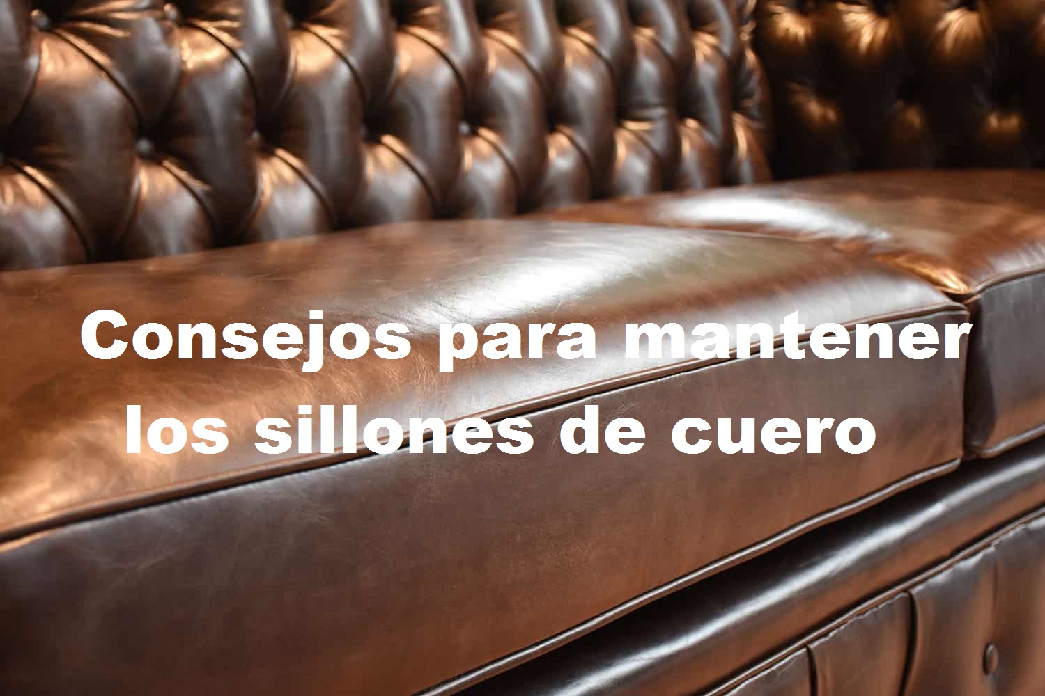 CONSEJOS PARA MANTENER LOS SILLONES DE CUERO